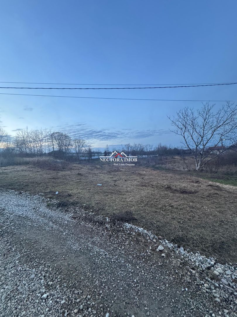 NECTORA IMOB-Teren Intravilan 647 mp, Dublu Front, Paleu, cu Utilitati - Poză 3