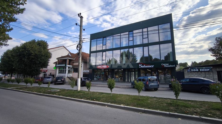 Chirie spațiu comercial, Criuleni - Poză 1