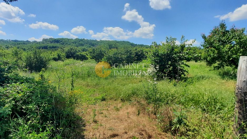 CASA PLAN PARTER + MANSARDA  1850  MP TEREN - Costuleni,Hilita🌿 - Poză 20