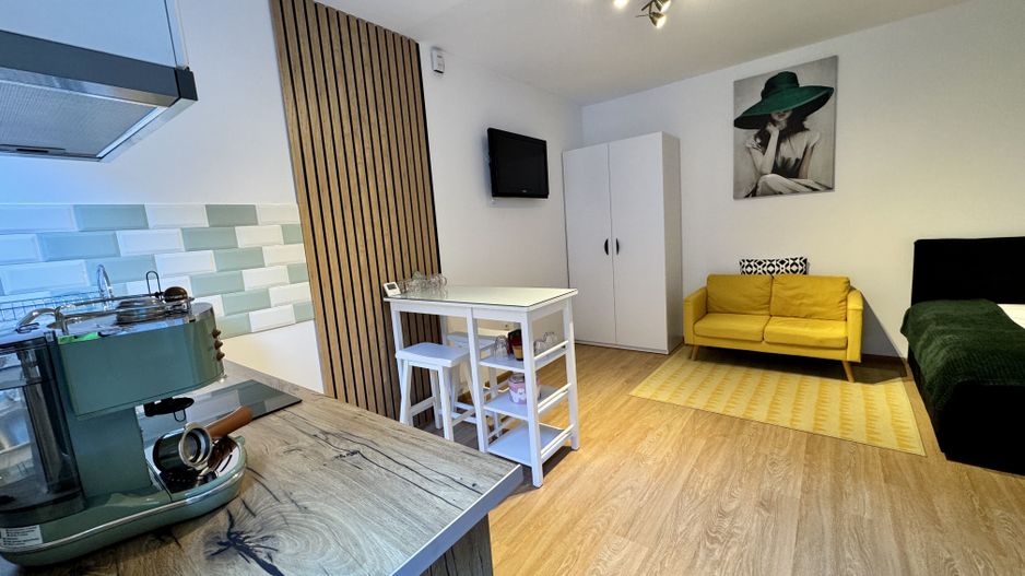 Apartament cu 2 camere la casa in Blumana, str De Mijloc - Poză 12