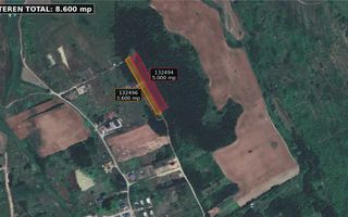 Teren intravilan 8.600 mp – Rediu, Iași, la marginea pădurii - Poză 2