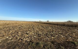 TEREN EXTRAVILAN  51 ARI |  HORODNIC DE JOS  | - Poză 2