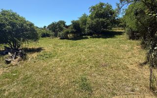 De vânzare teren intravilan – zona Tulbureni - Poză 1