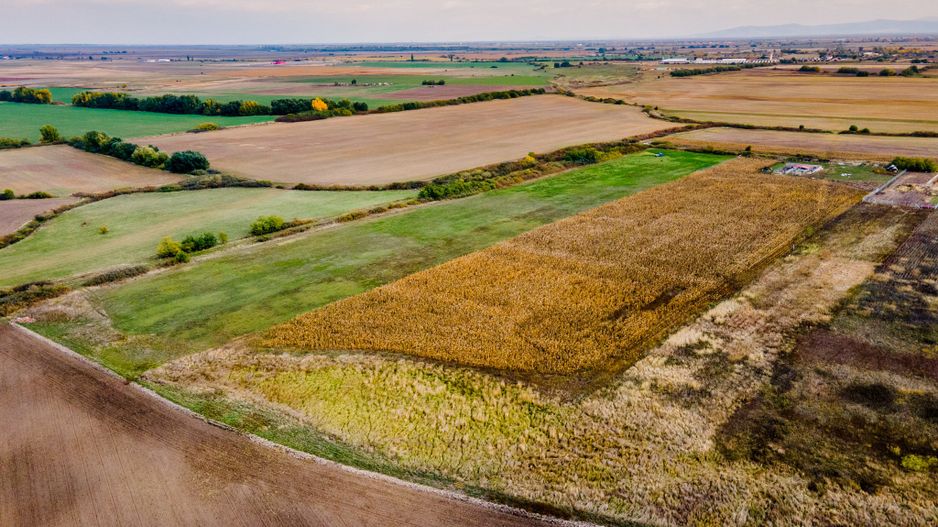 Teren arabil pe Strada Câmpurilor - Poză 9