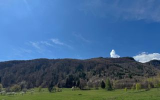 Terenuri Bran - Predelut  Priveliște către Bucegi și Postăvaru - Poză 13