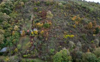 Teren 18,300mp Ghioroc - Poză 9