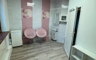 Apartament Victoriei, 79 mp, Parter - Potrivit Locuință sau Spațiu Comercial v19 - Poză 17