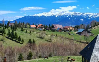 Casa / pensiune investitie sat Pestera, Moieciu, Bran - Poză 31