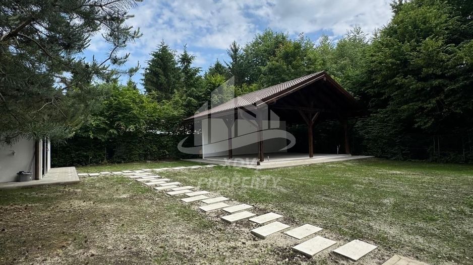 Pensiune/ Vila Valea Avrigului - Poză 25