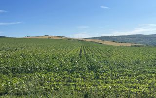 Teren de vânzare 4.850 mp în comuna Mogoșești, sat Budești - Poză 2
