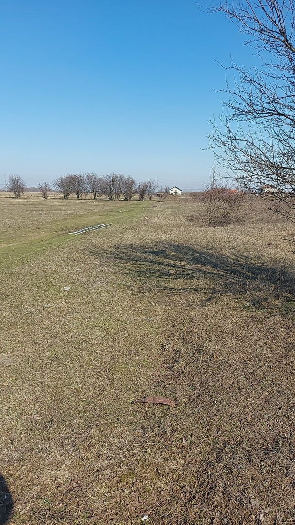 550mp teren intravilan in localitatea Pruni - oras Magurele -jud Ilfov - Poză 6