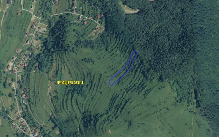 Teren Floresti - Poză 2