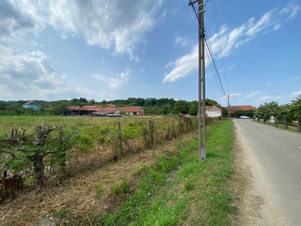 Teren Zgribesti numai 5 euro/mp - Poză 2