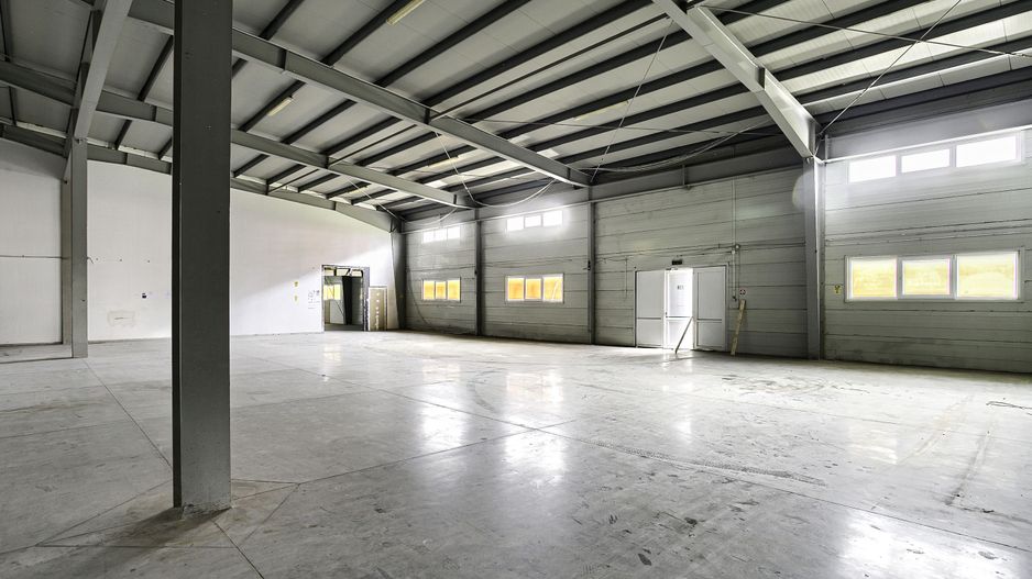 Hala industriala de inchiriat în Arad, 2.744 m², acces TIR și auto - Poză 2