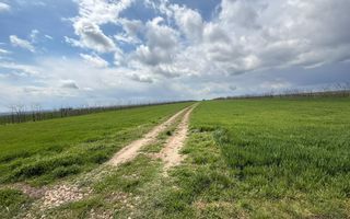 Teren de vanzare in Săcele ideal pentru silozuri, fermă 6 ha - Poză 23