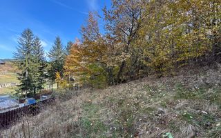 TEREN INTRAVILAN 13167 MP BUGHEA DE SUS ARGES - Poză 11