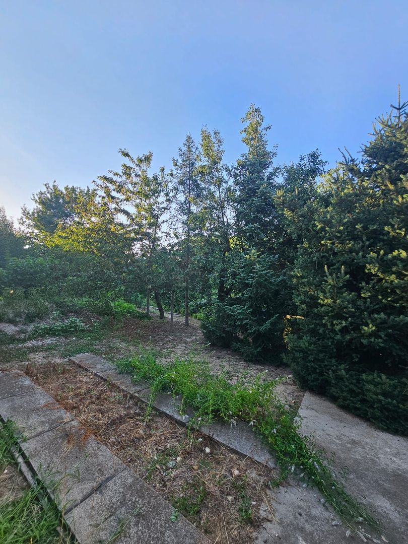 Casă / Vilă cu 8 camere de vânzare în Lapus, Craiova - Poză 7