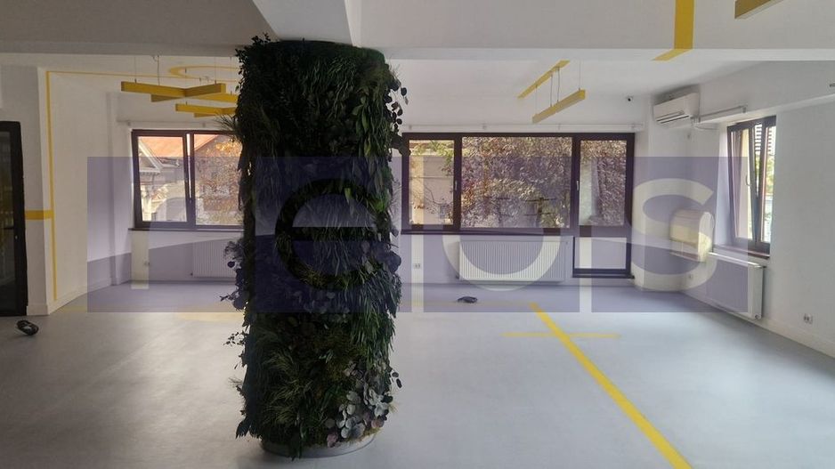 INCHIRIERE VILA P+2 | ZONA UNIRII- Natiunile Unite - Poză 12