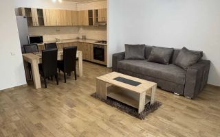 Apartament superb Calea Plevnei - Poză 2