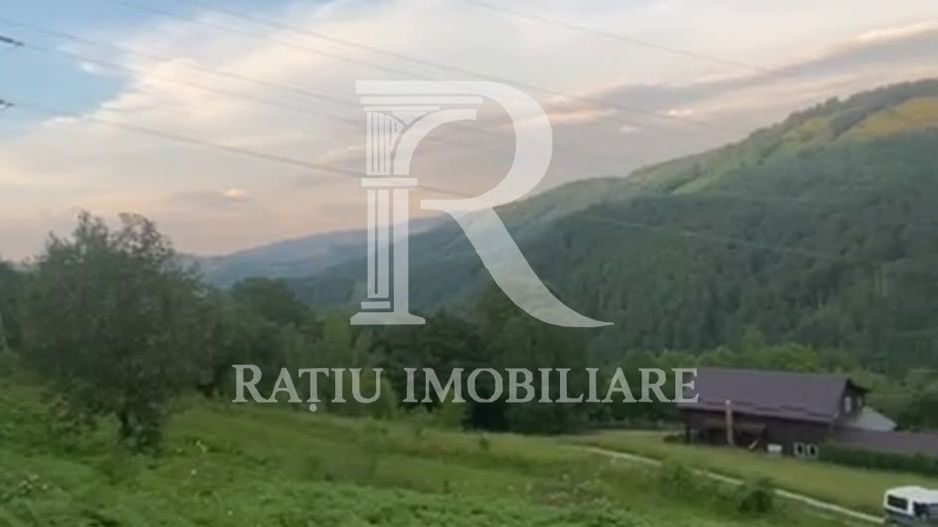 Teren 10.900mp | Panoramă în Apuseni | Remeți -Ideal pentru Investitii - Poză 10