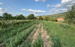 Casă 4 camere | 133 MPU | Acces auto | Pianu de Sus - Poză 22