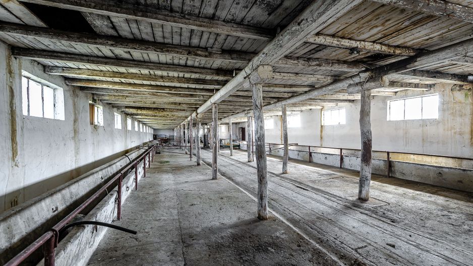 Fermă Mândruloc 2,5 ha - Poză 2