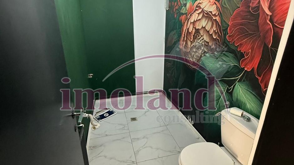 Inchiriere parter de vila - birou - Primaverii - Poză 6