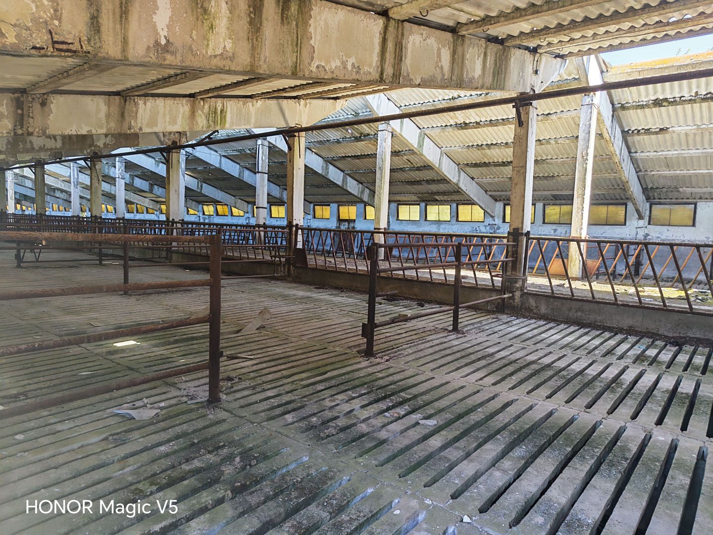 Spațiu industrial -fermă Orțișoara - Poză 6