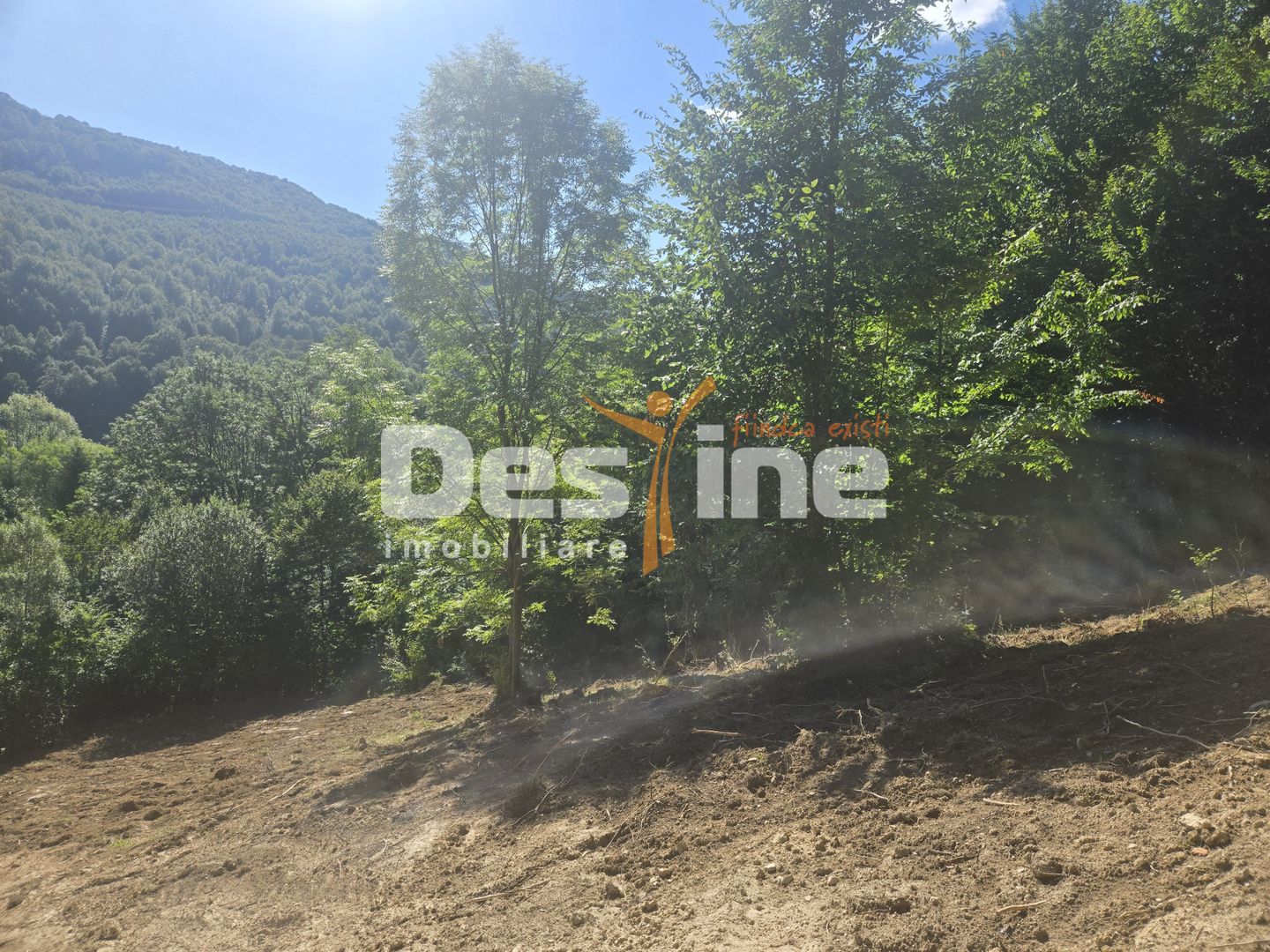 Teren Valea Doftanei,  zona Pe Vale - Baraj Paltinu - Poză 2