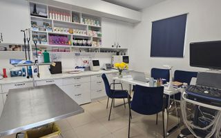 OCAZIE Spatiu Comercial Herastrau/Aviatiei - Poză 10