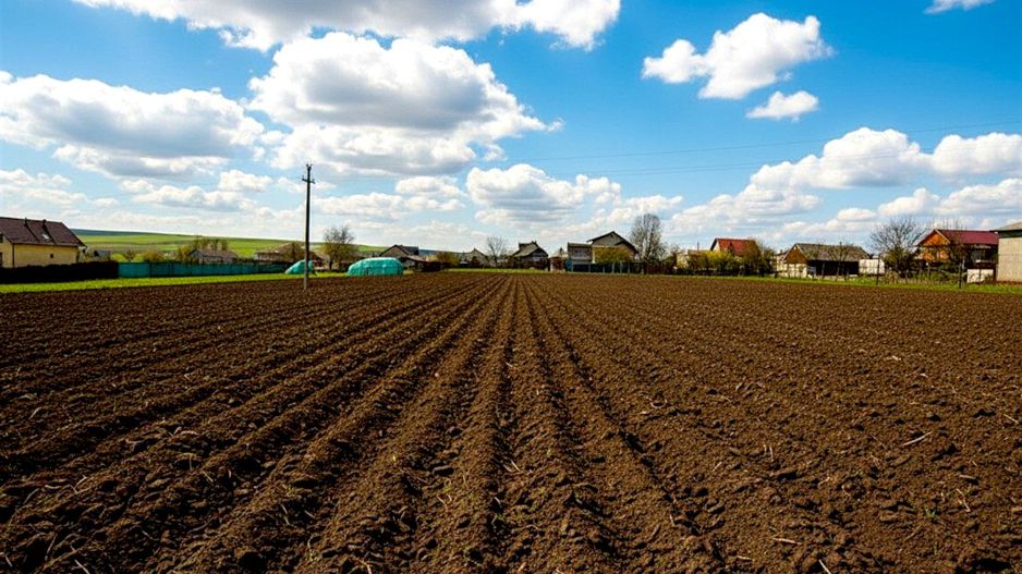 Teren 991 MP | Moara Carp | 22 ml Deschidere | Utilități | 38.000 € - Poză 4