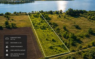 Oportunitate  | Teren pe malul Lacului Căldărușani | 4.477 mp | Gruiu - Poză 1