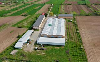 HALE INDUSTRIALE & PLATFORME BETONATE & TEREN INTRAVILAN 23500MP CRAIOVA - Poză 1