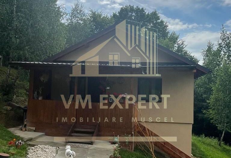 CASA 3 CAMERE, TEREN 3100 MP, ALBESTI DE MUSCEL, ARGES - Poză 13