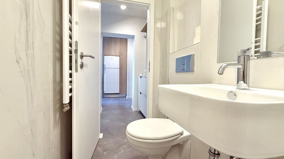 Apartament cu 1 cameră în zona centrală - Piața Unirii-Parcul Botanic - Poză 12