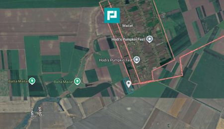 Teren de 10.000 Mp2, agricol extravilan, Mailat