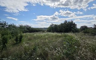 Teren intravilan 1.335 mp cu casă, comuna Erbiceni, județul Iași - Poză 4