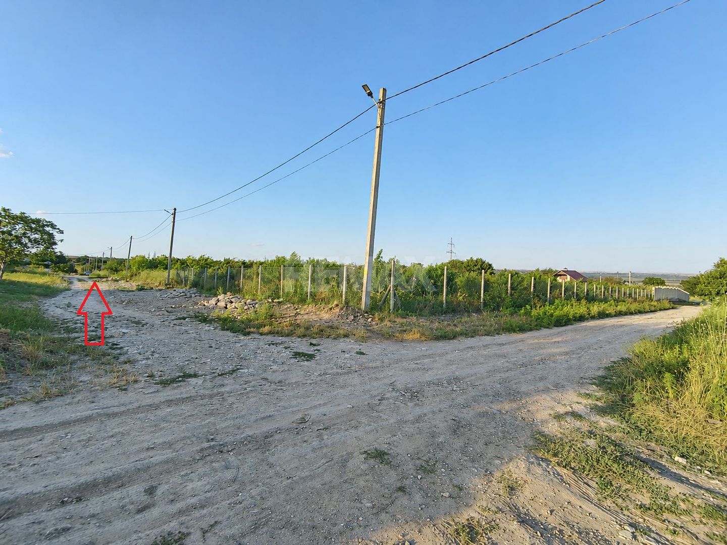 TEREN PENTRU CONSTRUCȚIE – 12 ARI | SPEIA- ANENII NOI - Poză 3