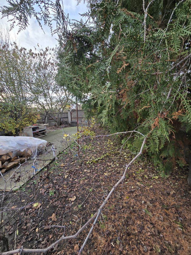 Exclusivitate! Proprietate Sendreni, zona linistita, 69.000 EUR - Poză 14