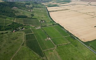 Vie Tradițională „Halta Lupilor” - Poză 29