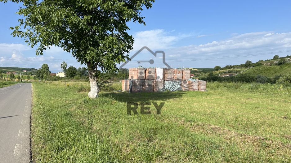 Teren de vanzare pretabil Casă single/duplex/triplex/hală - Poză 1