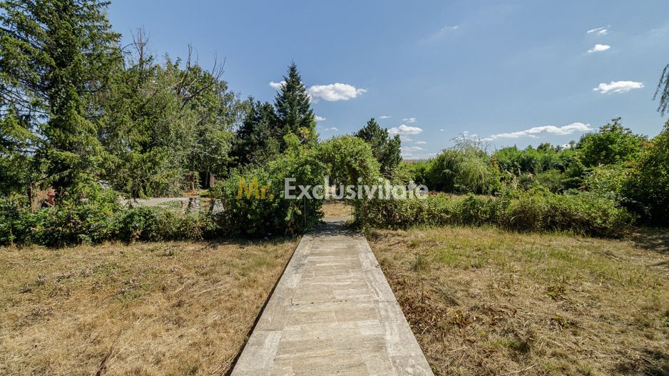 Domeniu privat 5.000 mp, cu reședință de 625 mp și piscină, Corbeanca - Poză 14