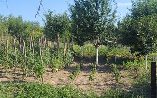 Casa cu 3 camere + garaj si grădină | Picleu | Bihor - Poză 4