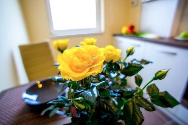 Apartament de inchiriat 1 camera Parcare, Calea Turzii - Poză 6