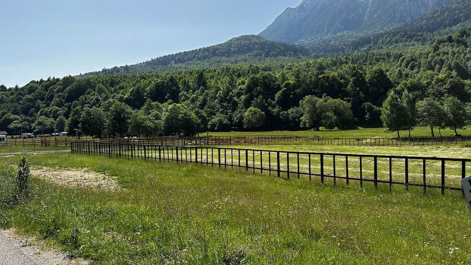 Teren intravilan - 1117 mp în Plaiul Foii - Poză 10