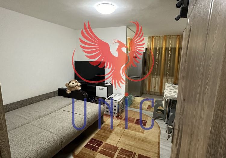 Garsoniera parter - zona Lapus - Poză 1