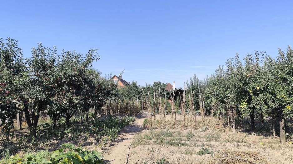Casa de vanzare, teren mare, intrare auto - Sacadat, Bihor - Poză 17