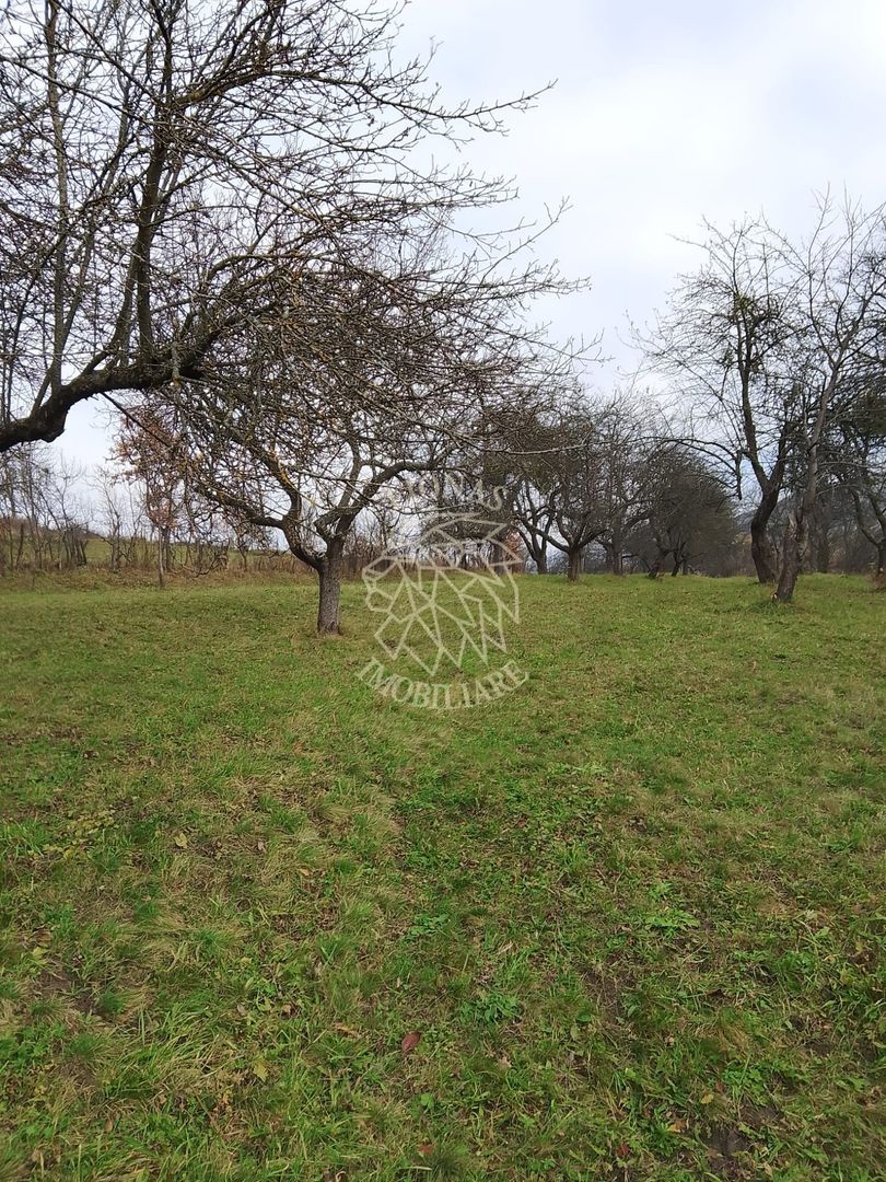 Teren 3966 mp-2 deschideri-curent-investitie-Budacu de Jos - Poză 1