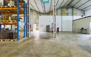 Hală 300 mp Sânnicolau Mic - Poză 2