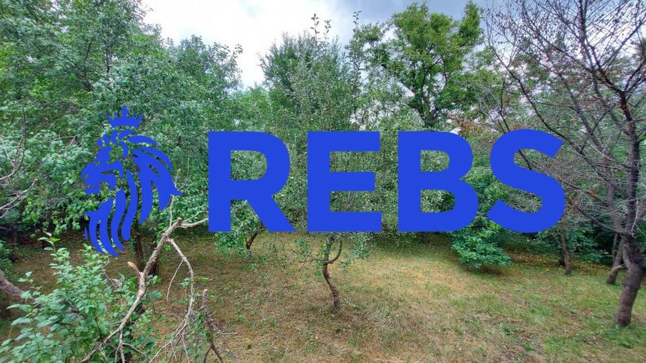 Teren 5250 mp cu casa pretabila pensiune - Poză 5